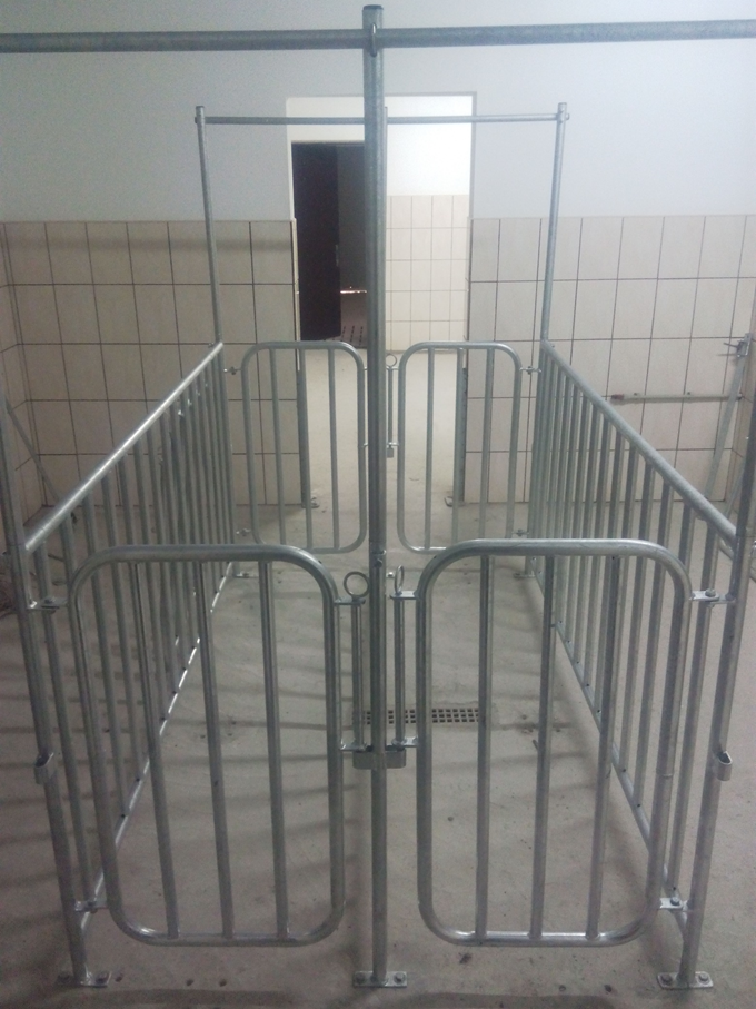 Клетка для мойки свиноматок